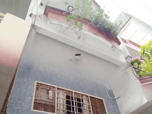 snapedit 1765510819945